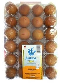 Funtuna Eggs x24