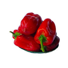 Tatase Pepper - Small x3-4