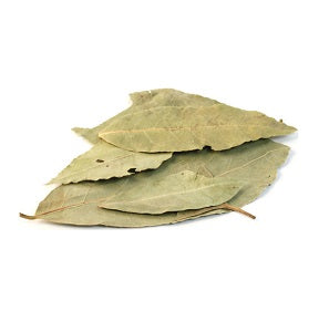 Bay Leaves - Big