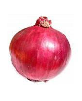 Onions - Red x7