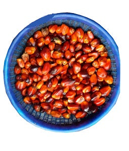 Palm Kernel 4 L