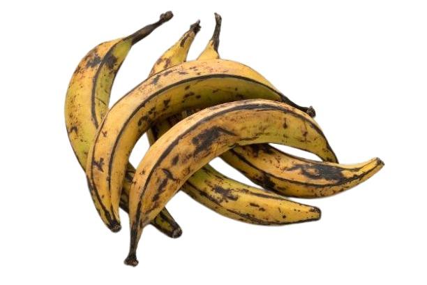 Plantain x12 - Small Bundle