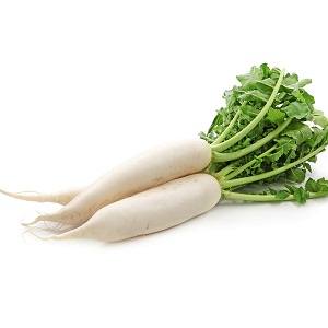 Radish White x12