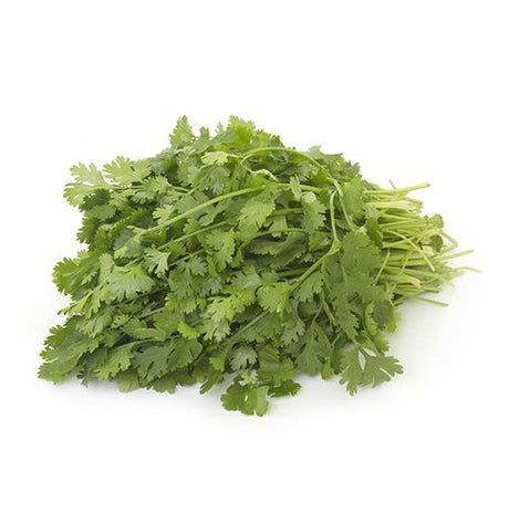 Coriander - Basket