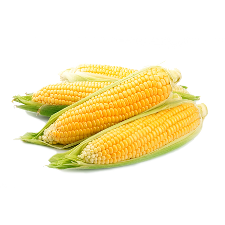 Corn ~~50 kg Bag