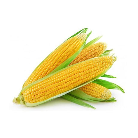 Corn ~~12.5 kg Bag x25-30 Pieces