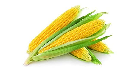 Corn ~~25 kg Bag x50-60 Pieces