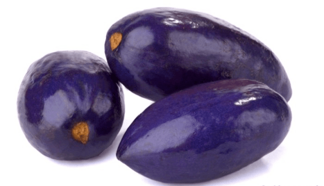 Ube (African Pear) x25