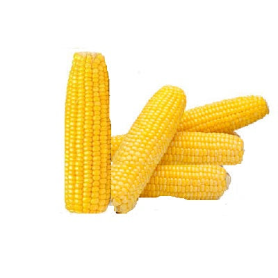 Corn On The Cob - Peeled (Raw) x7