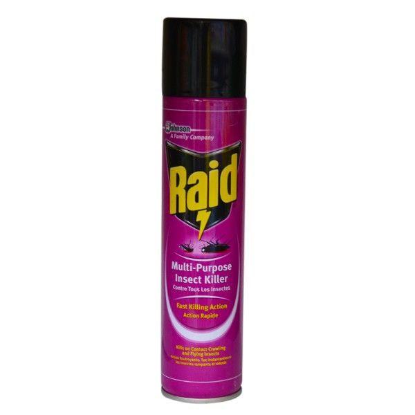 Raid Insect Killer 300 ml x12