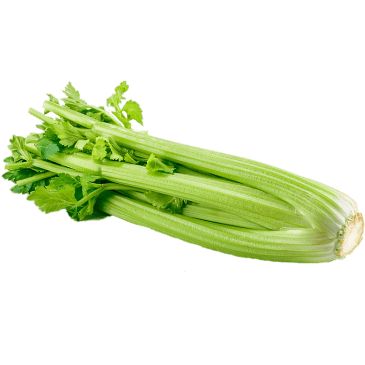 Celery - Regular