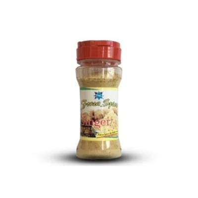 Forza Spices Ginger Powder 100 g