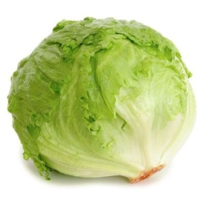 Iceberg Lettuce - Imported