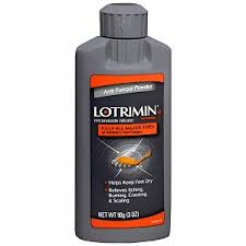 Lotrimin Powder 90 g