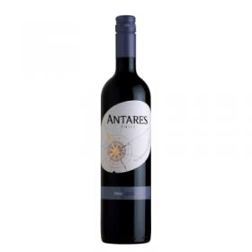 Antares Chile Shiraz 2009 75 cl