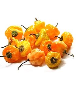 Rodo Pepper - Yellow x7