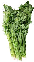 Celery Bundle