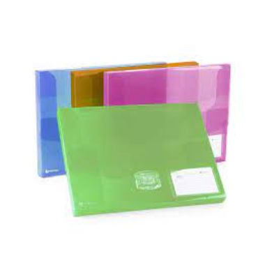 Rexel Ice Document Boxes 25 mm - Assorted