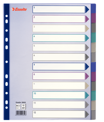 Esselte Divider A4 Polypropolene 12 Tabs