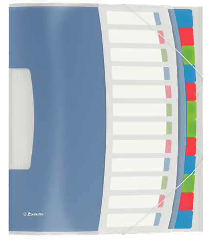 Esselte Divider Book Vivida - 12 Part