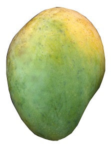 Mango Big Size