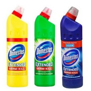 Domestos Bleach Assorted 750 ml