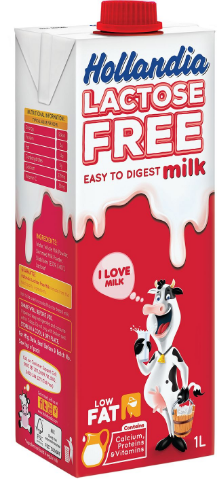 Hollandia Lactose Free Milk 1 L x2