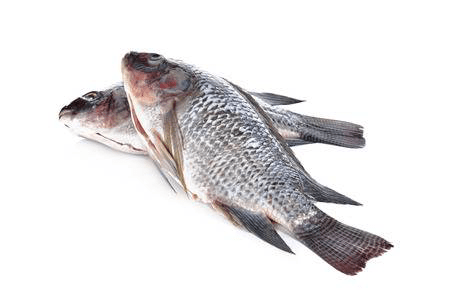 Ocean Flower Tilapia Fish 1.3 kg