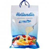 Hollandia Custard Vanilla 2 kg