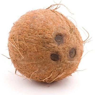 Coconut