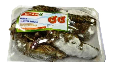 Spar Lobster Whole ~1 kg