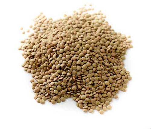 Indo Garden Green Lentils 500 g