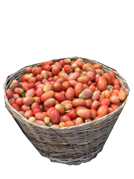 Tomatoes (Long Seed) - Big Basket