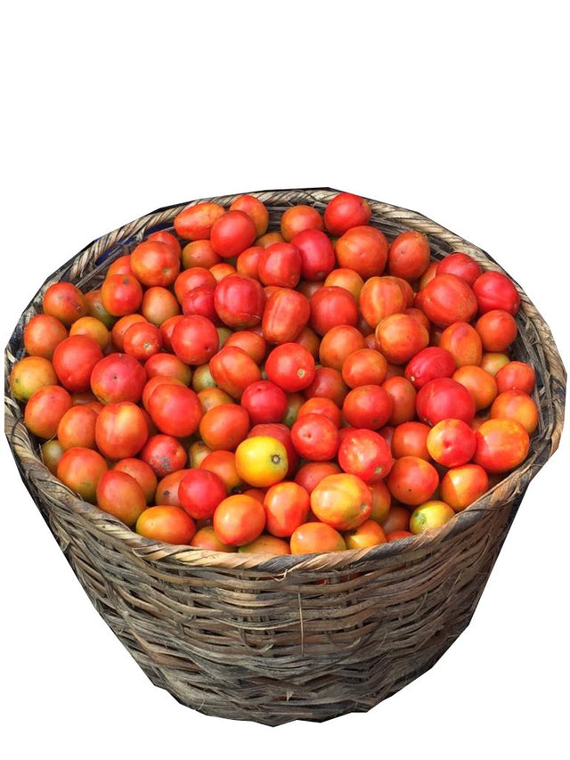 Tomatoes (Round Seed) - Big Basket