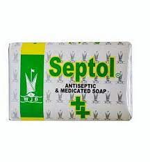 Septol Antiseptic & Medicated Soap 80 g