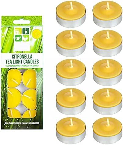 Chatsworth Citronella Tealight Candle 151 g x12