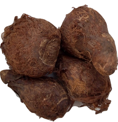 Cocoyam Small x4