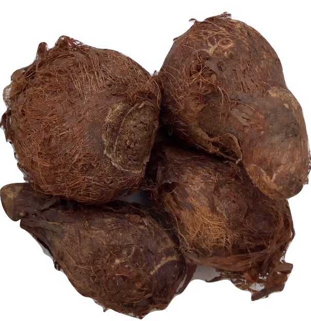 Cocoyam Small x4