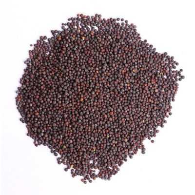 Mustard Seed - Whole 30 g